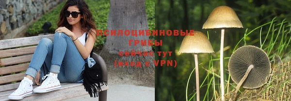 кокс Няндома