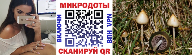 Псилоцибиновые грибы Psilocybe  Красновишерск 